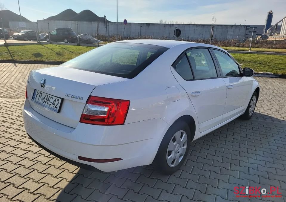 2019' Skoda Octavia photo #5