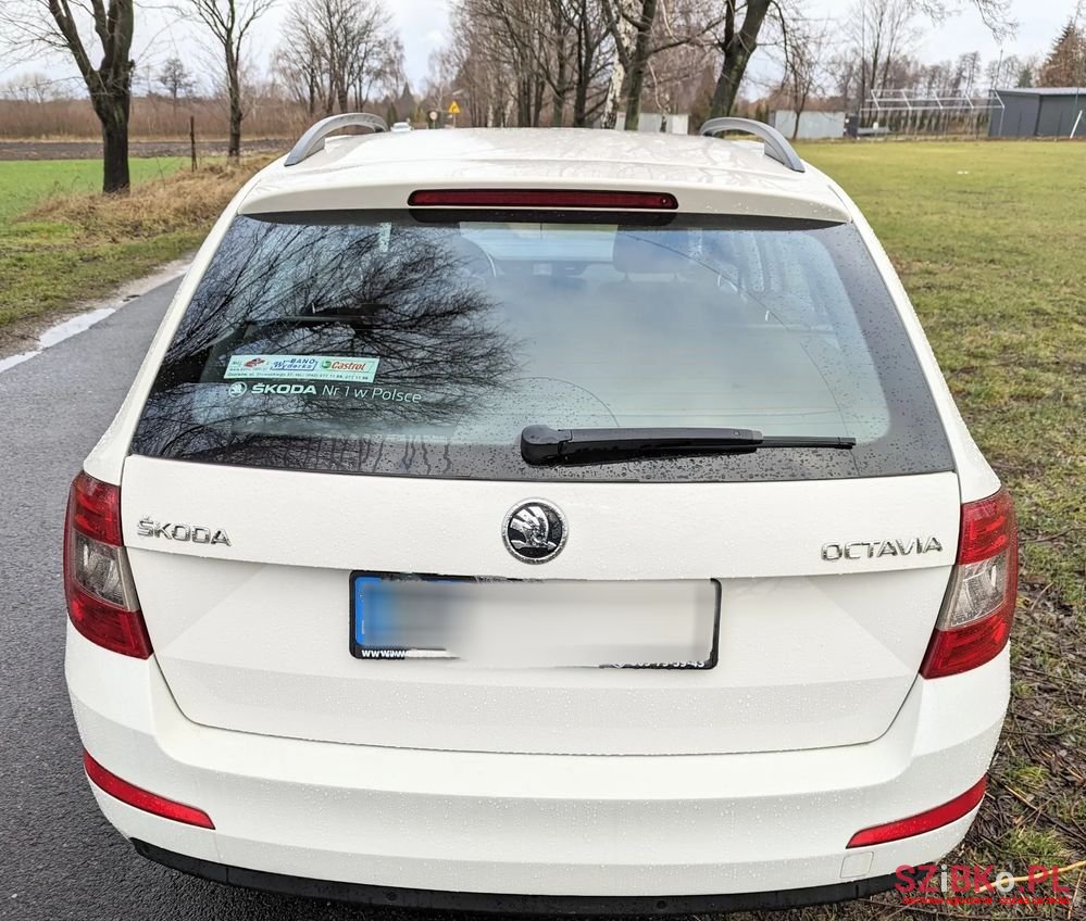 2016' Skoda Octavia photo #4