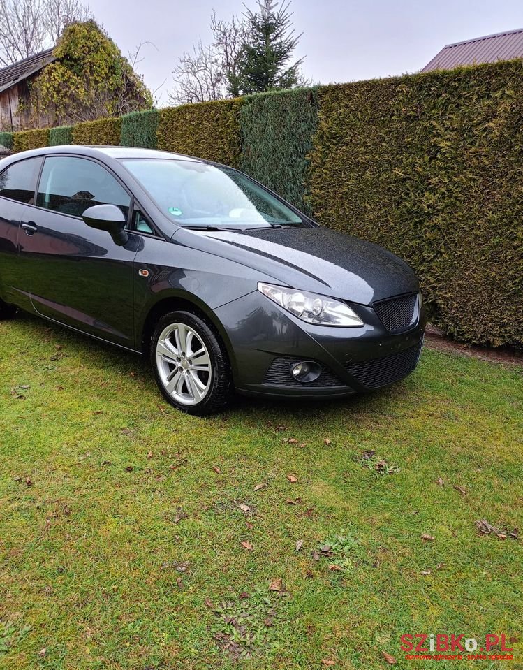 2010' SEAT Ibiza photo #6