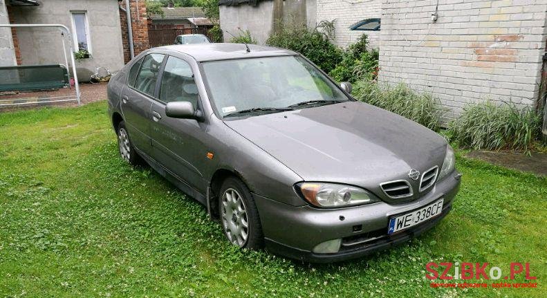 2001' Nissan Primera photo #1