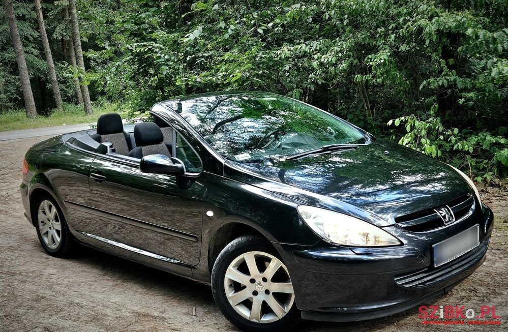 2004' Peugeot 307 photo #1