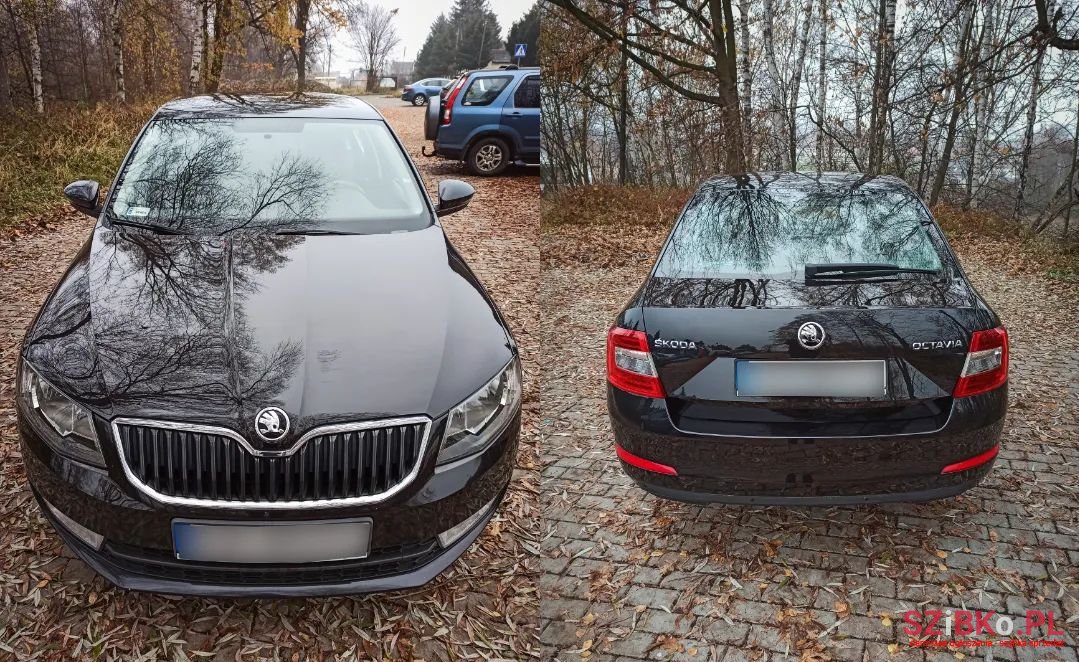 2014' Skoda Octavia photo #1