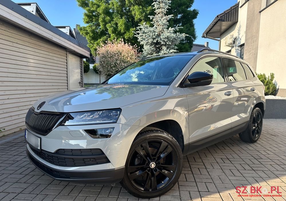 2019' Skoda Karoq photo #1