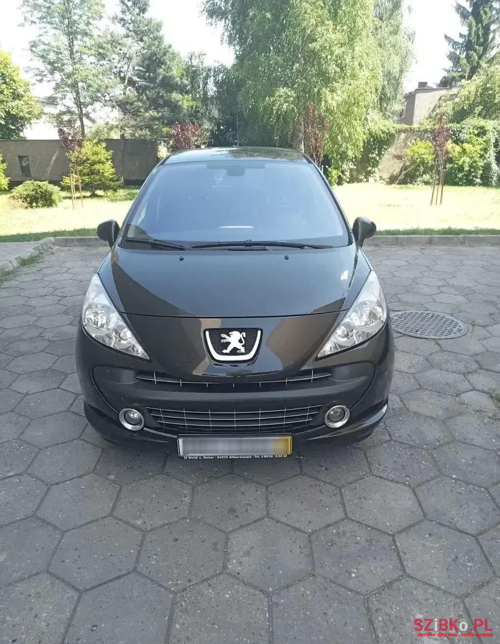 2007' Peugeot 207 photo #1