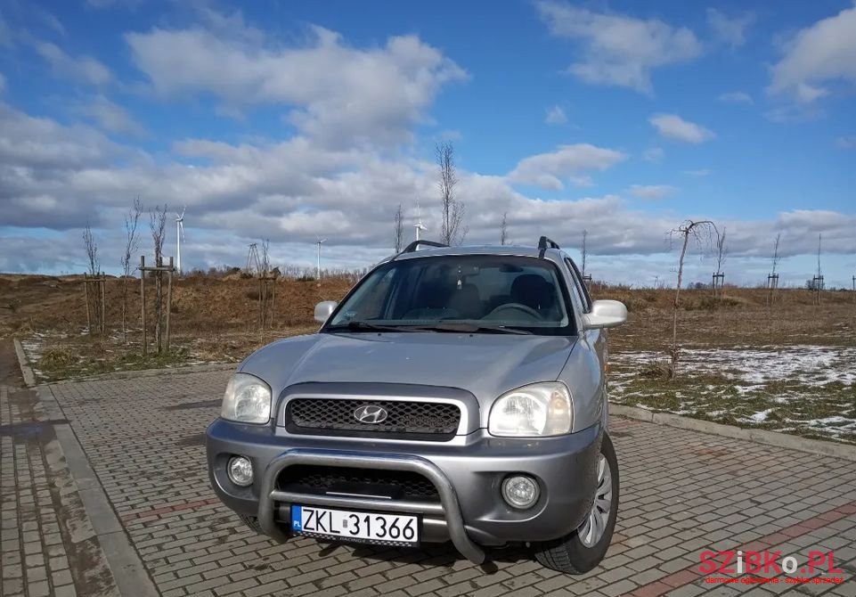 2004' Hyundai Santa Fe photo #1