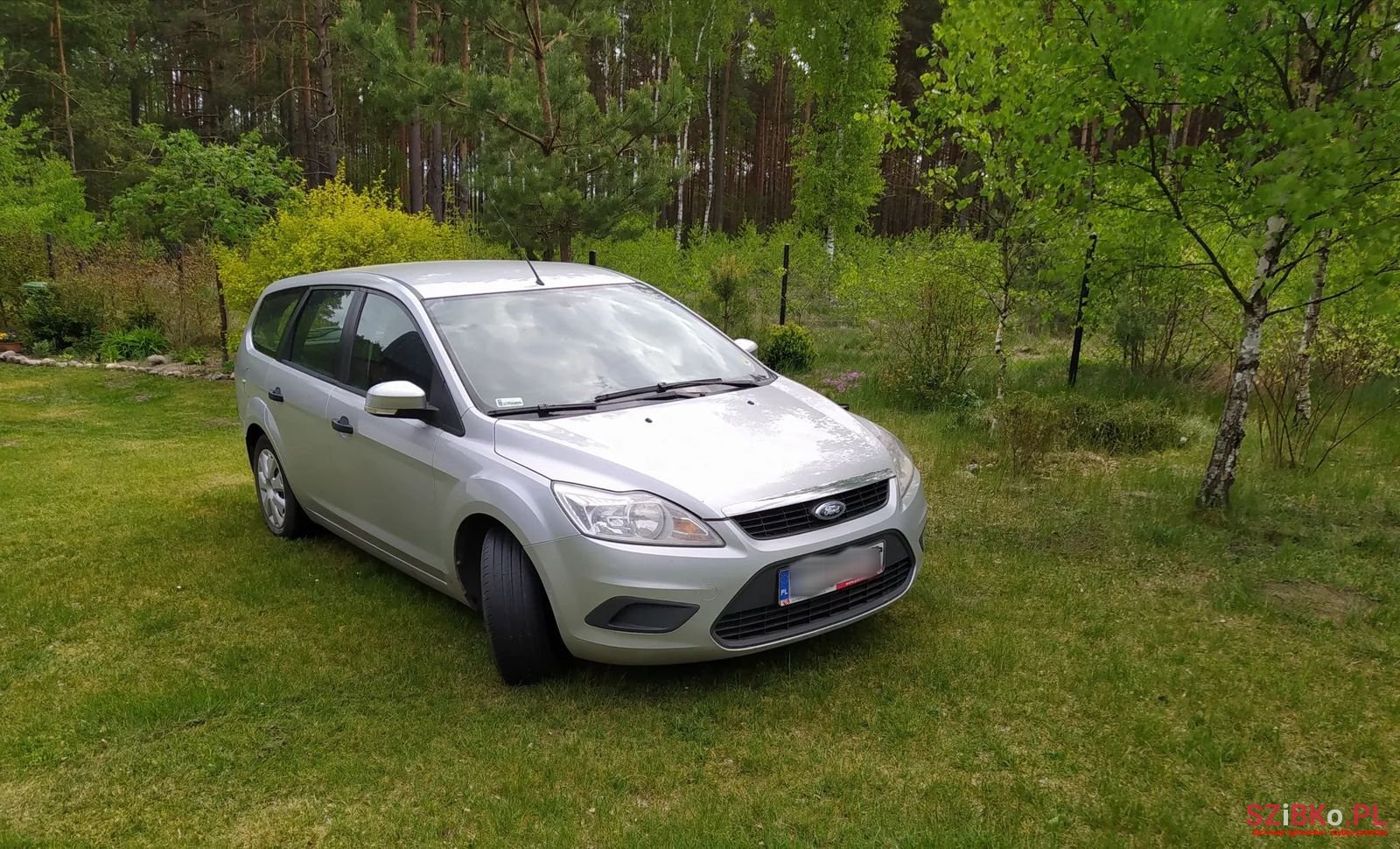 2010' Ford Focus photo #1