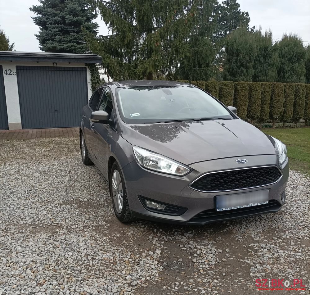 2015' Ford Focus photo #1