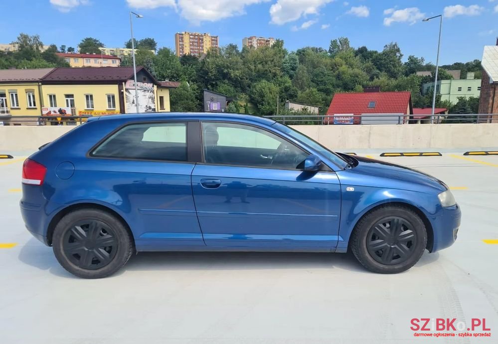 2003' Audi A3 1.6 Attraction photo #4