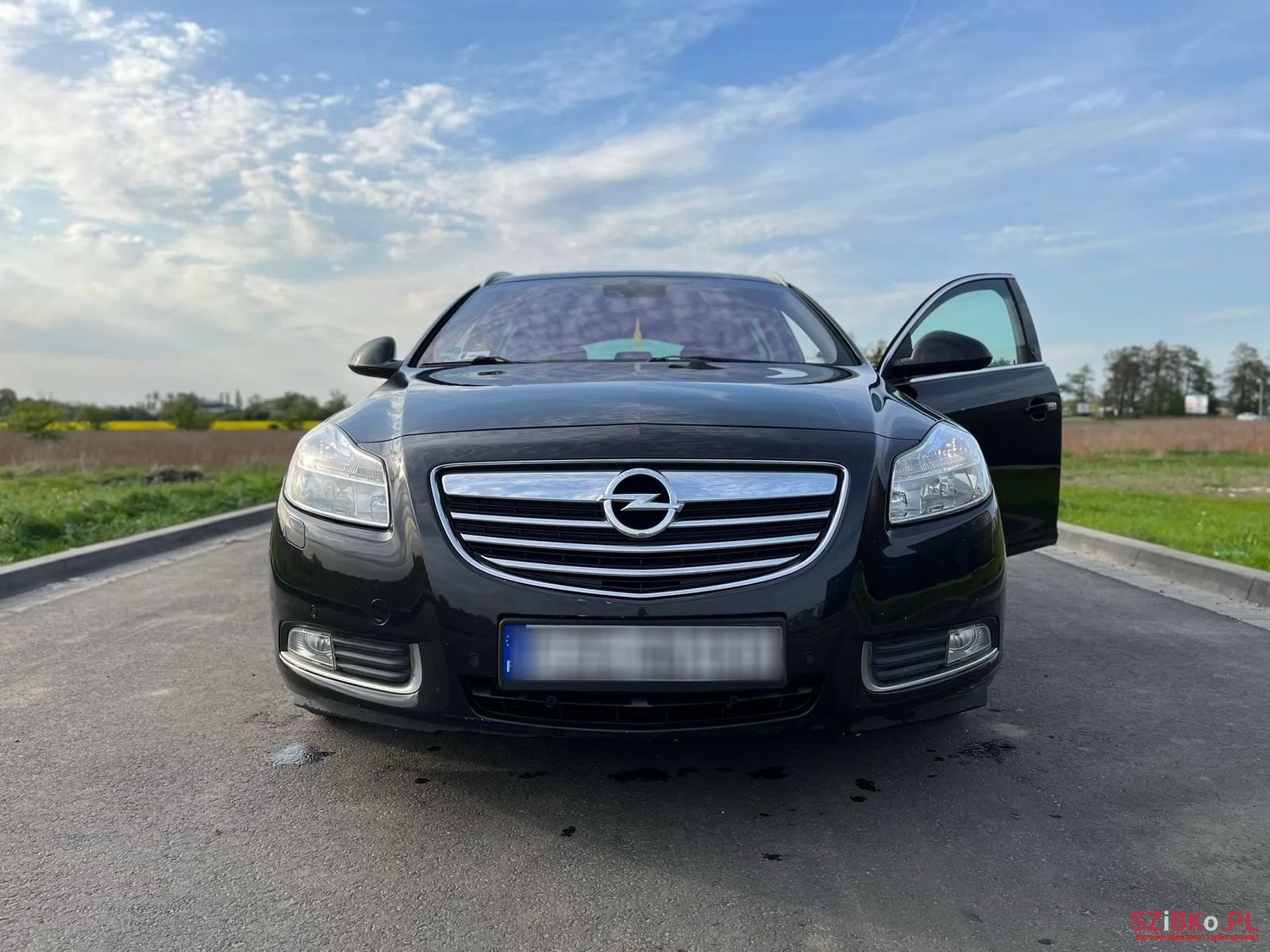 2013' Opel Insignia photo #3