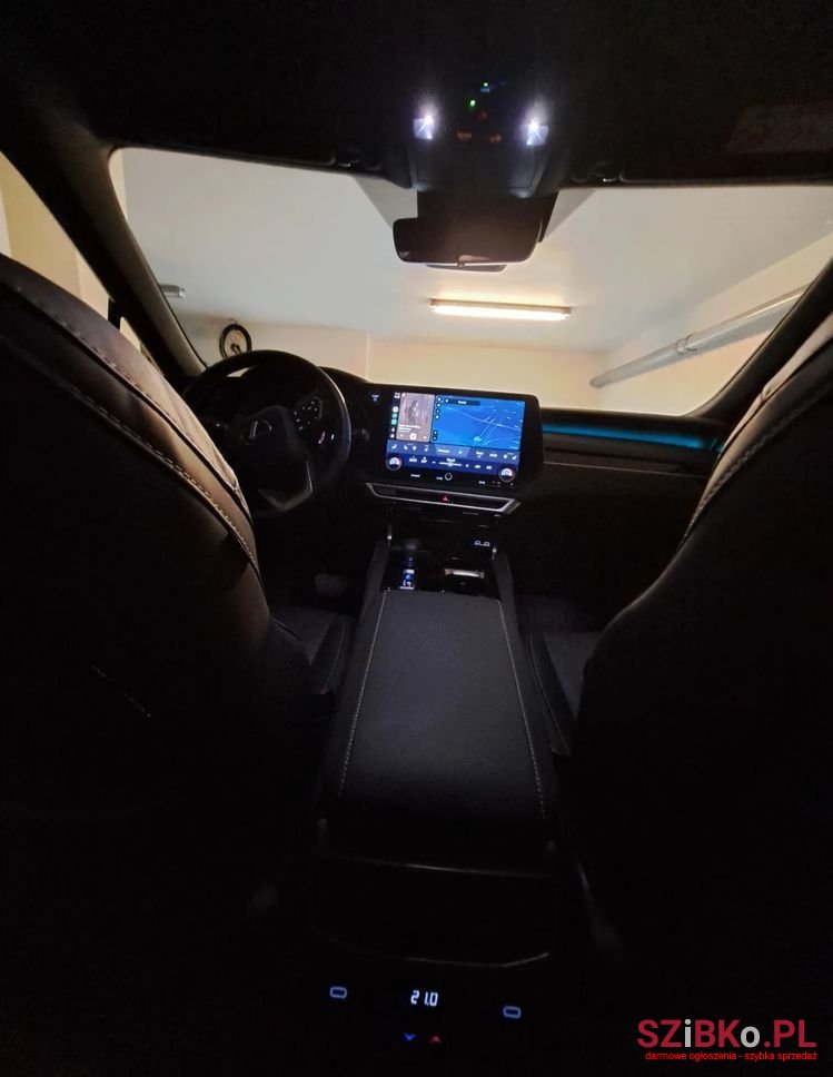 2024' Lexus RX 300 F photo #3