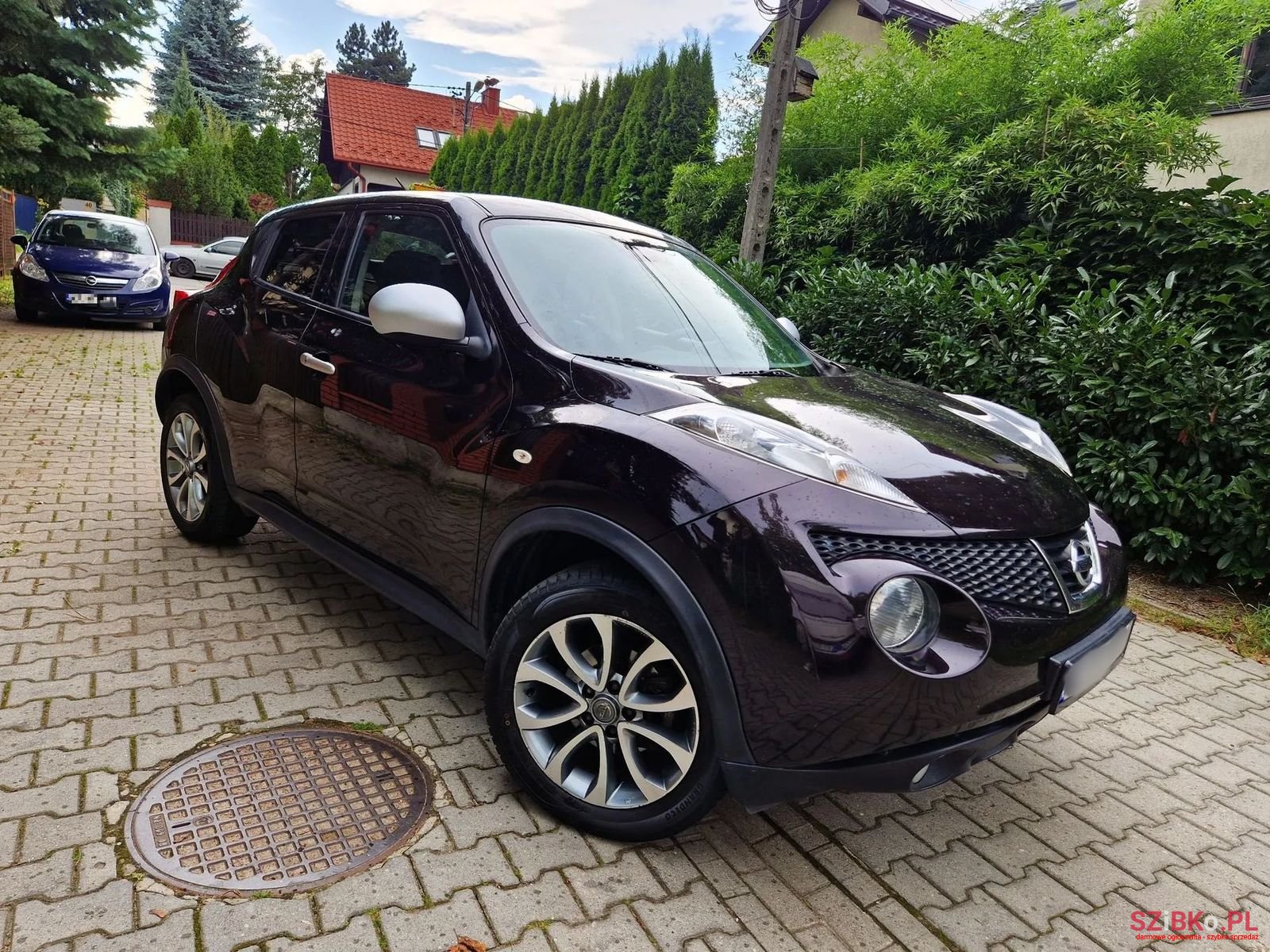 2012' Nissan Juke photo #1