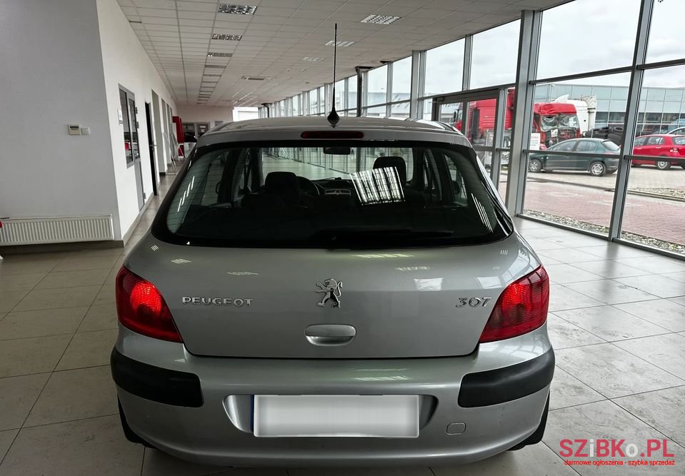 2003' Peugeot 307 photo #6