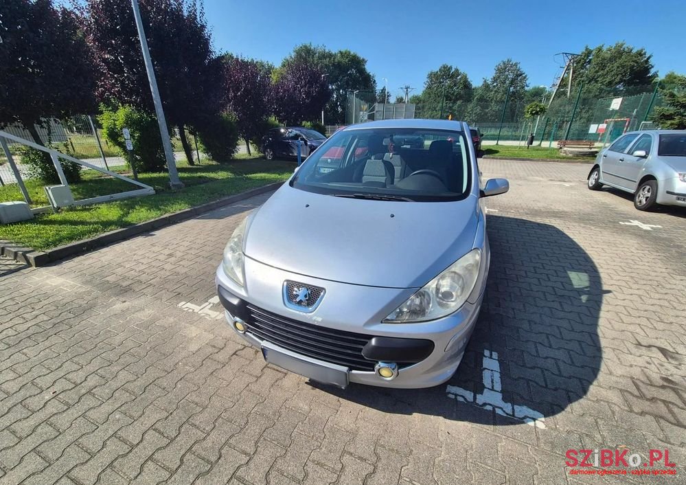 2007' Peugeot 307 photo #5