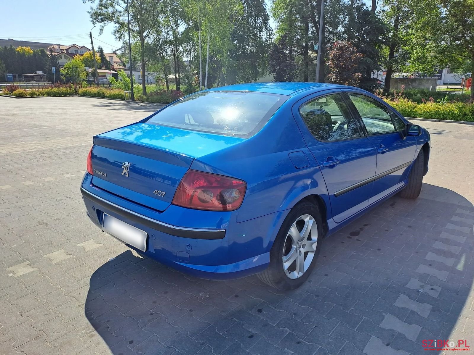 2007' Peugeot 407 photo #6