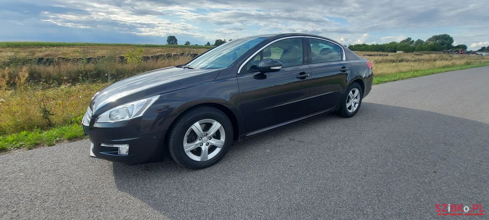 2012' Peugeot 508 photo #3