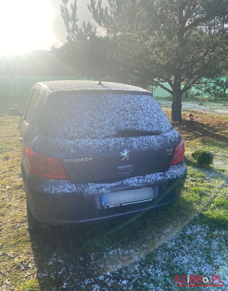 2002' Peugeot 307 2.0 Hdi photo #5