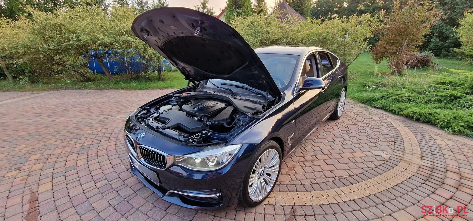 2013' BMW 3Gt photo #4