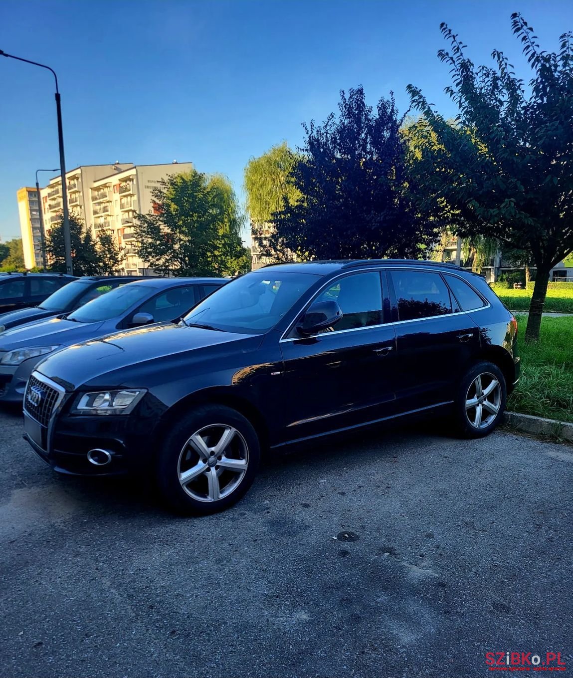 2008' Audi Q5 photo #2