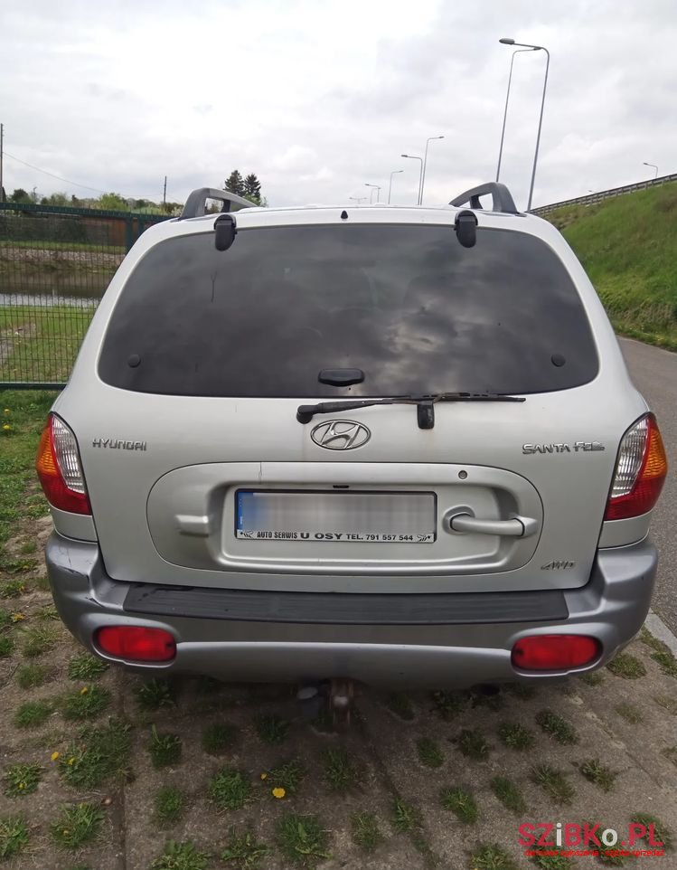 2004' Hyundai Santa Fe photo #4