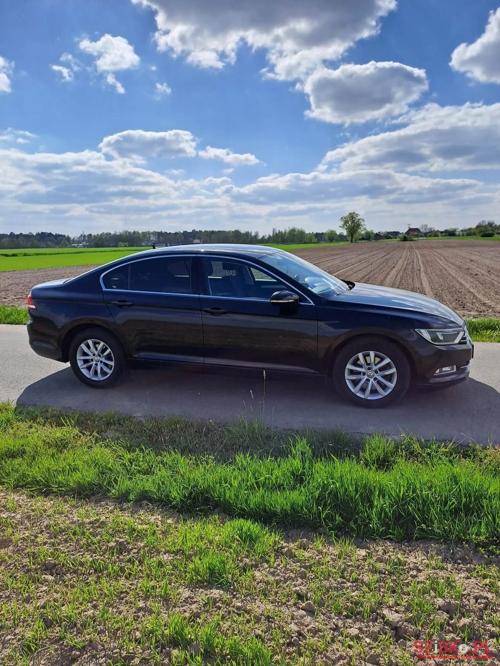 2015' Volkswagen Passat photo #4