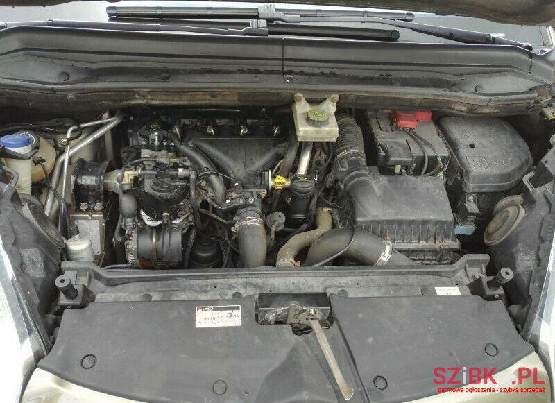 2009' Citroen C4 Picasso photo #2