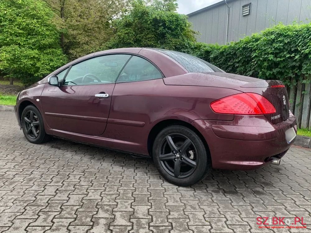 2003' Peugeot 307 photo #6