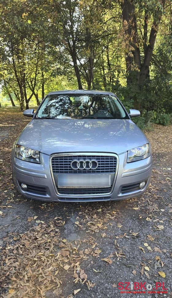 2005' Audi A3 1.6 Attraction photo #1