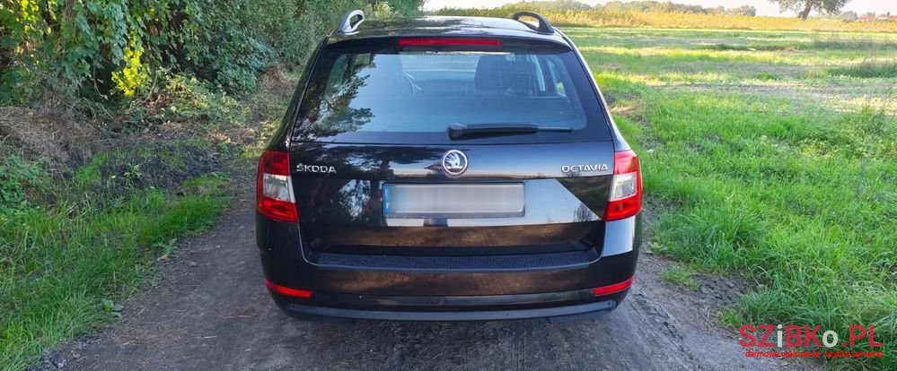 2018' Skoda Octavia photo #3