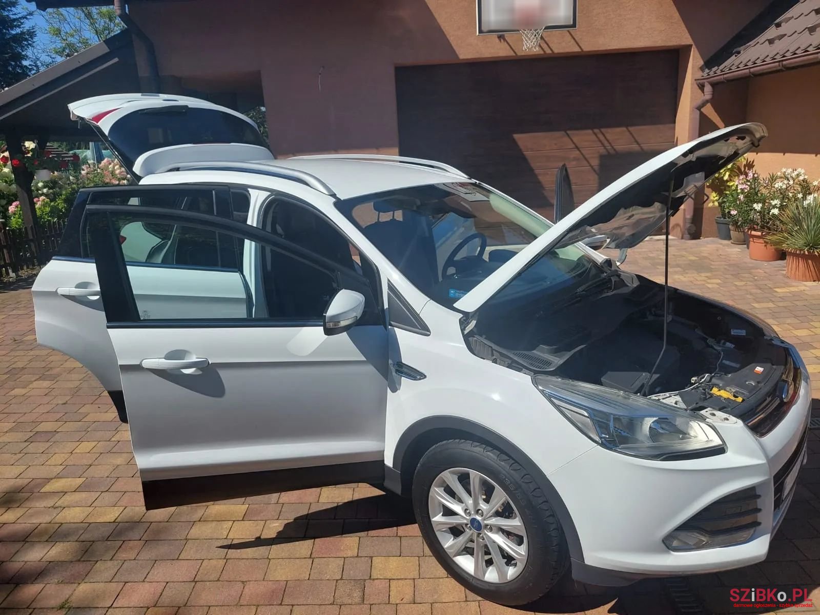 2014' Ford Kuga photo #6