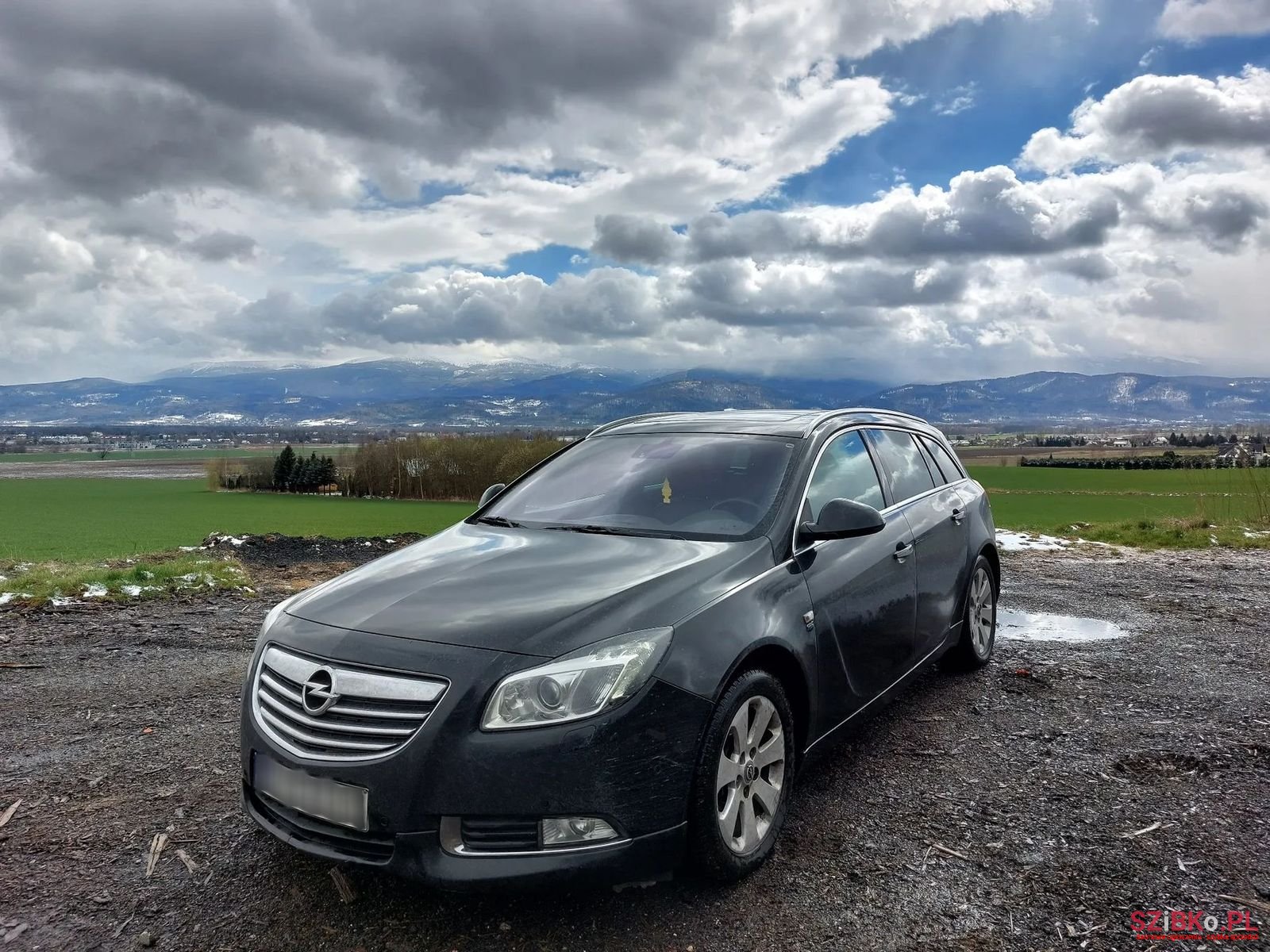 2011' Opel Insignia photo #1