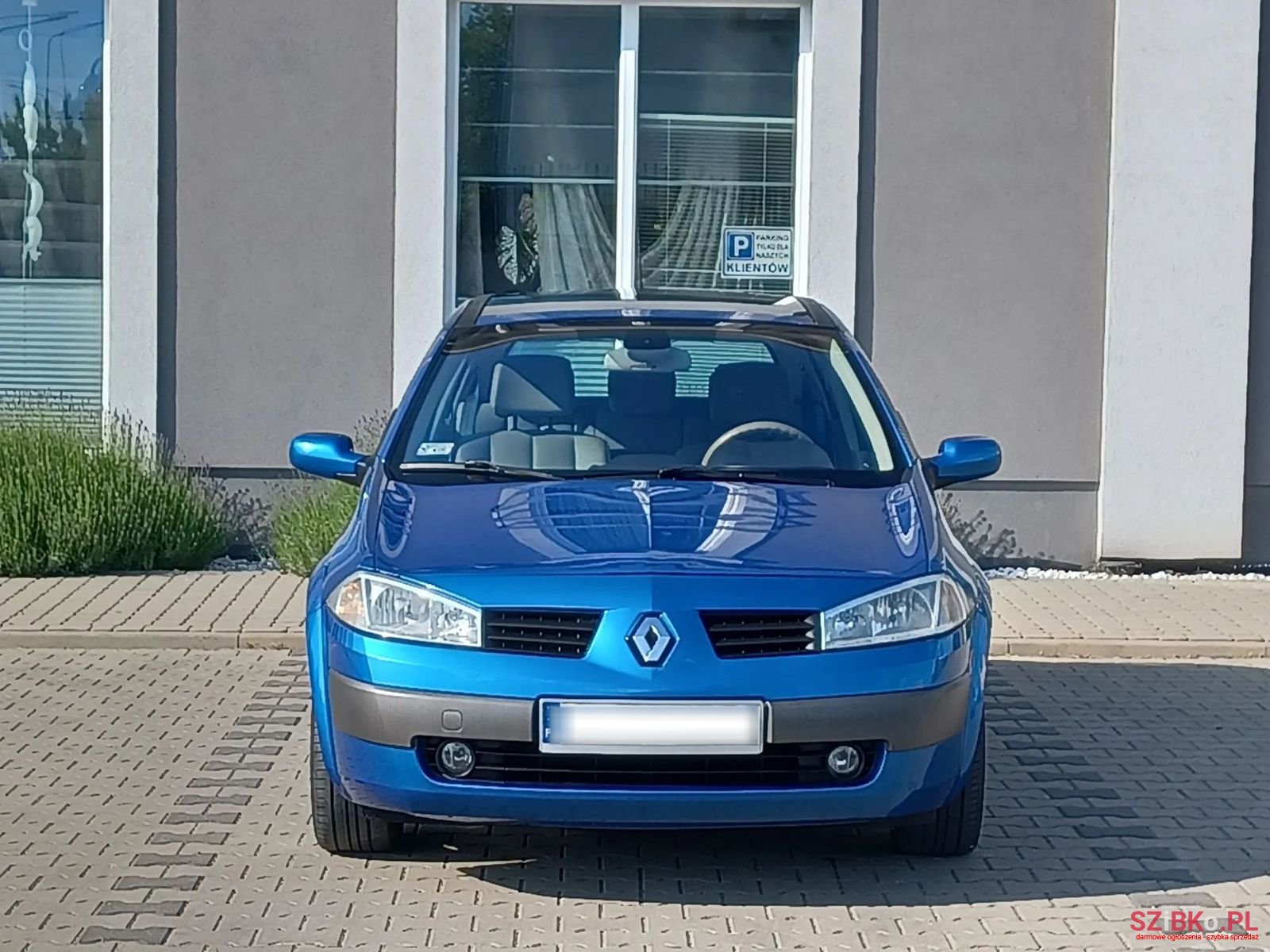2003' Renault Megane photo #2
