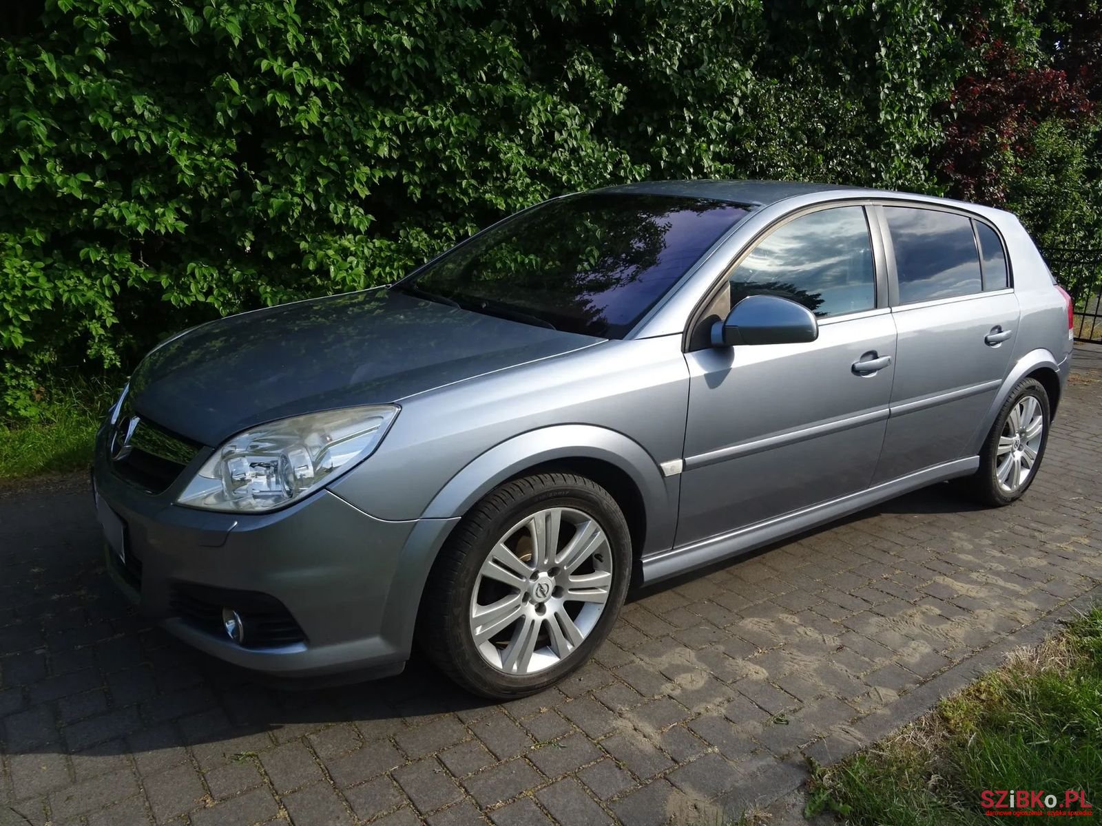 2005' Opel Signum photo #5