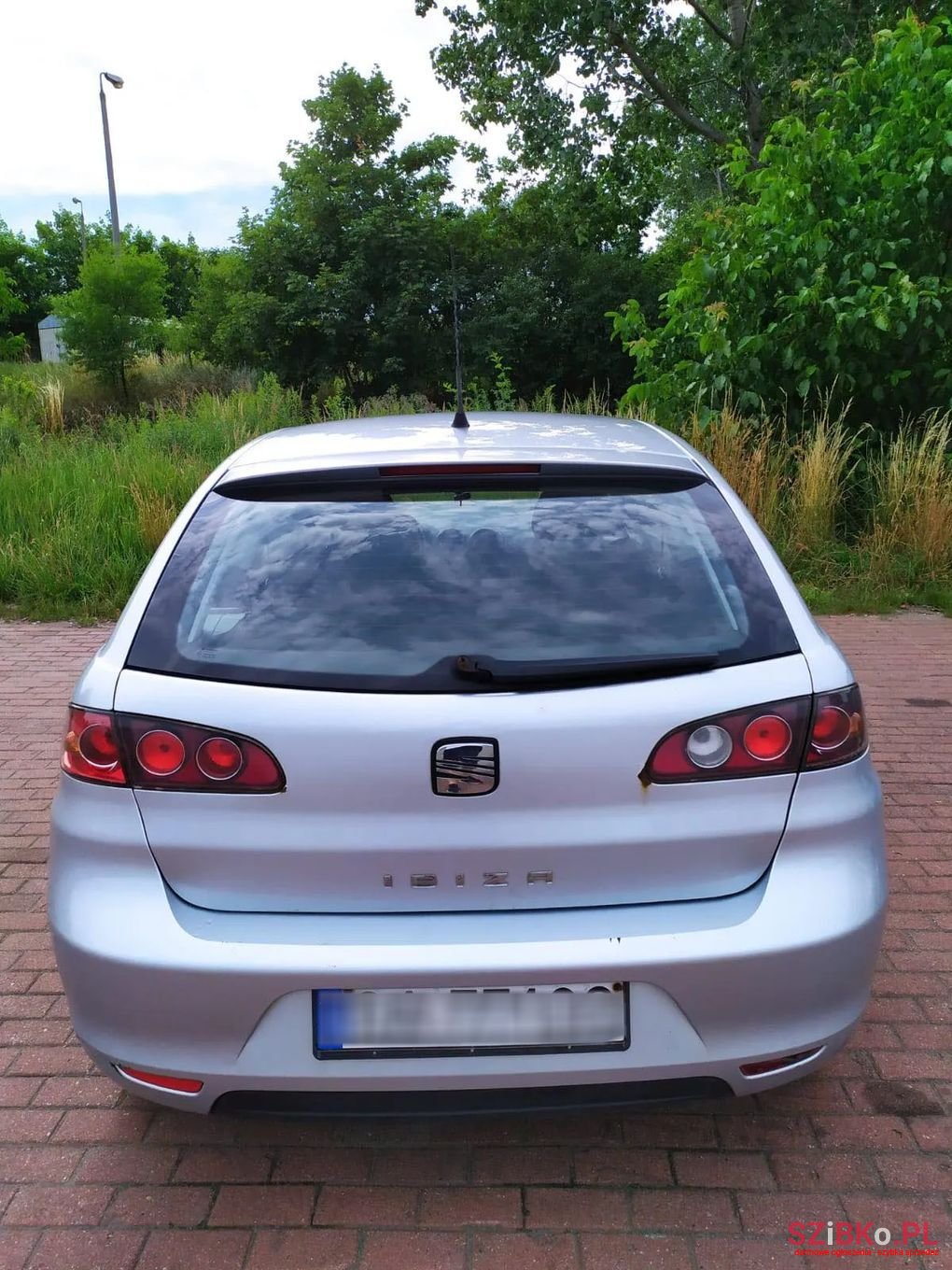 2008' SEAT Ibiza photo #2