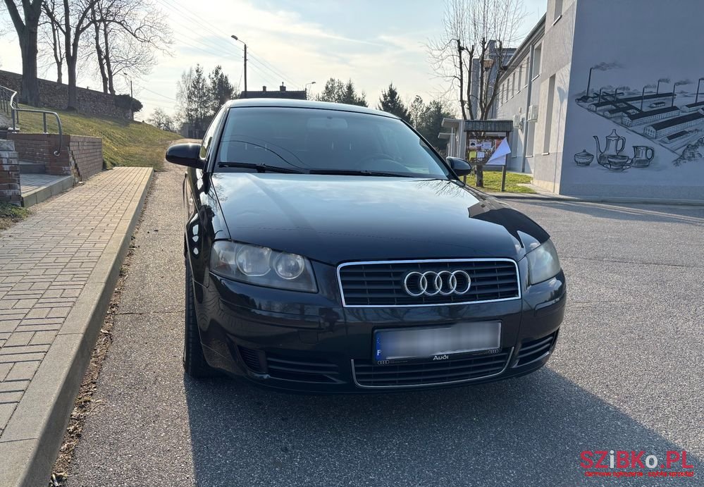 2004' Audi A3 1.6 Ambition photo #1