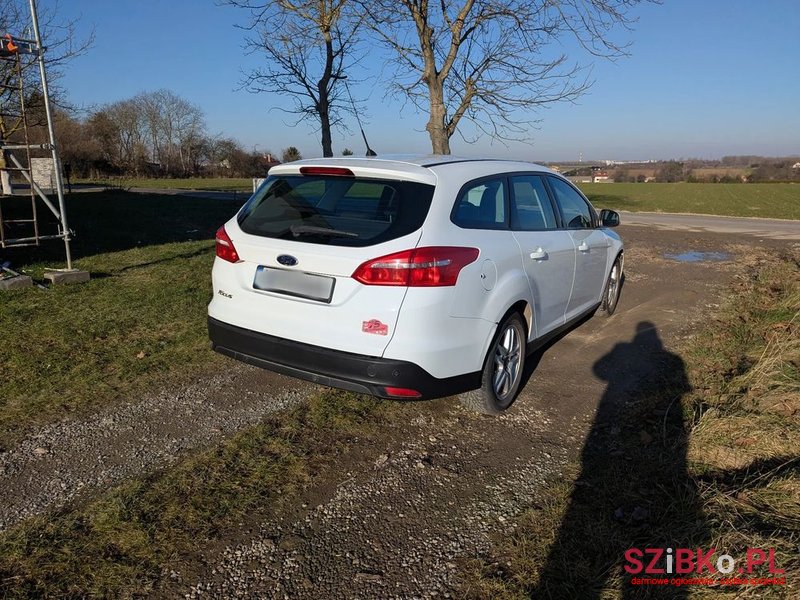 2014' Ford Focus photo #6