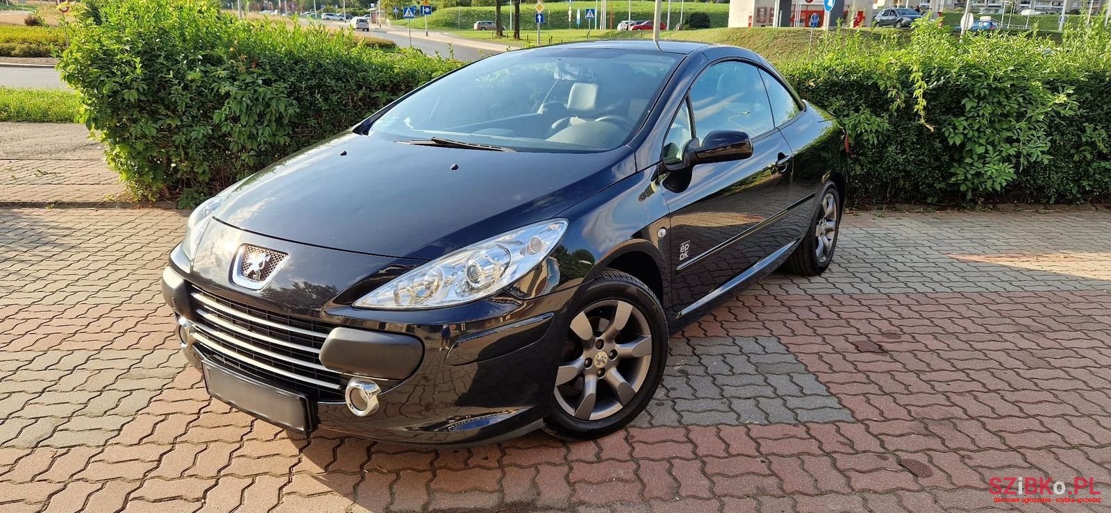 2006' Peugeot 307 photo #1