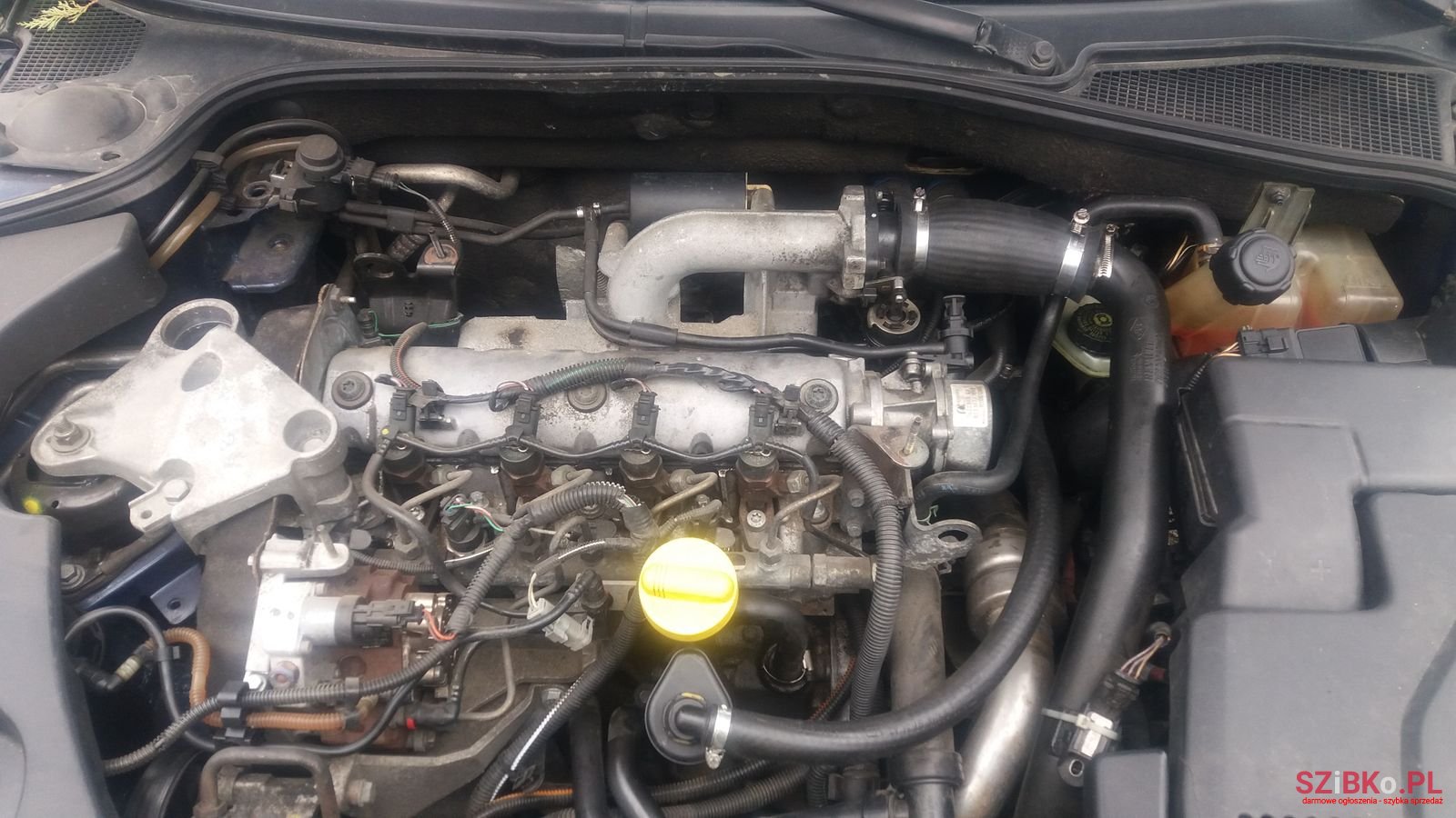 2002' Renault Laguna Grandtour photo #1