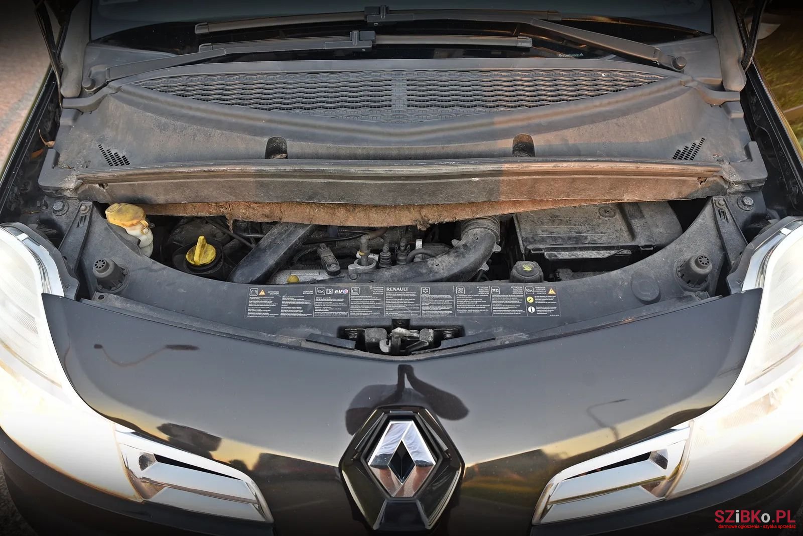 2008' Renault Modus photo #6