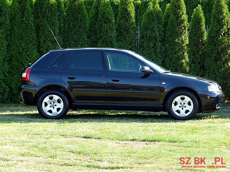 2001' Audi A3 photo #5