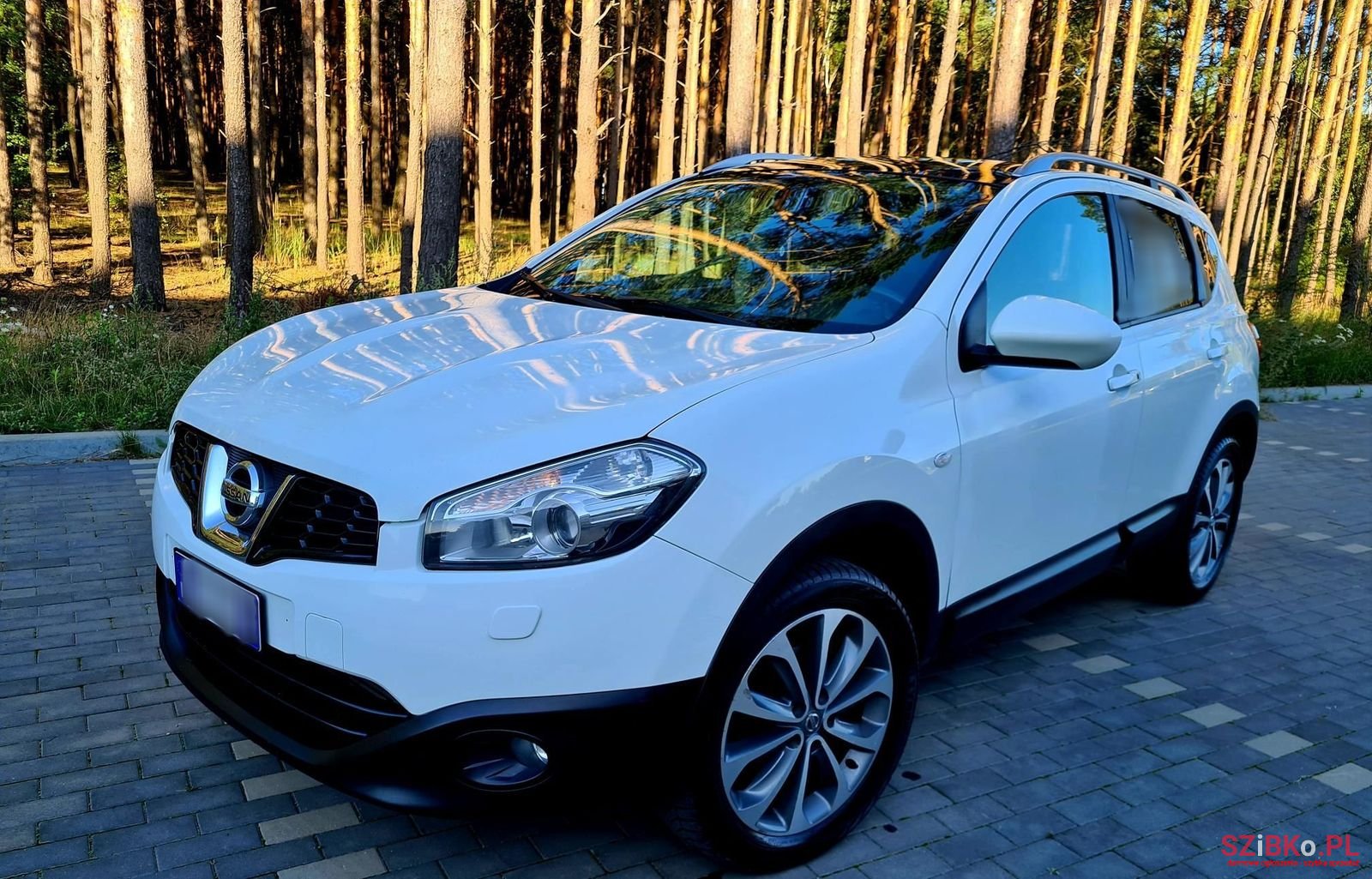 2010' Nissan Qashqai photo #1