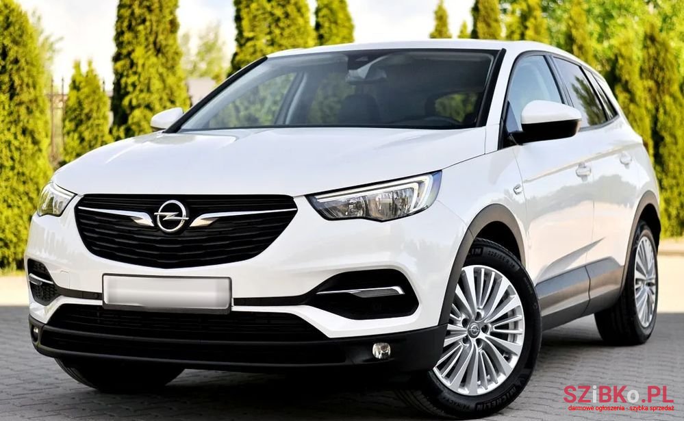 2018' Opel Grandland X photo #4