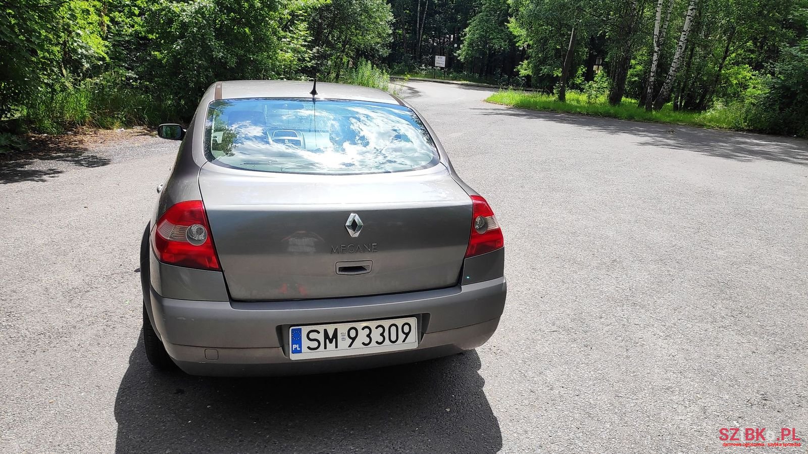 2003' Renault Megane photo #3