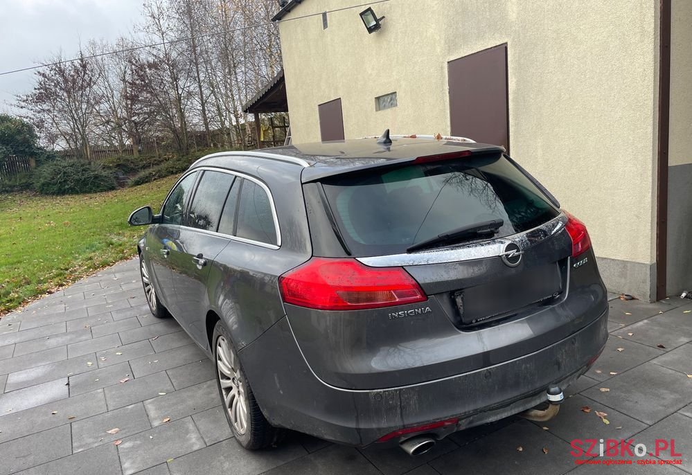 2010' Opel Insignia photo #6