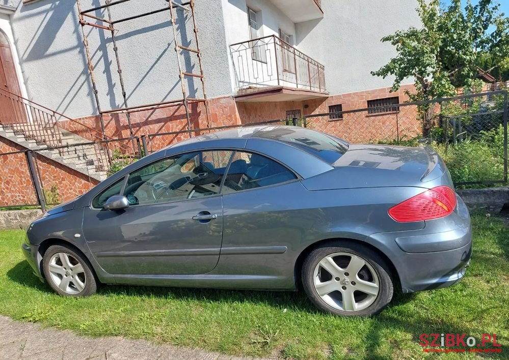 2004' Peugeot 307 2.0 photo #2