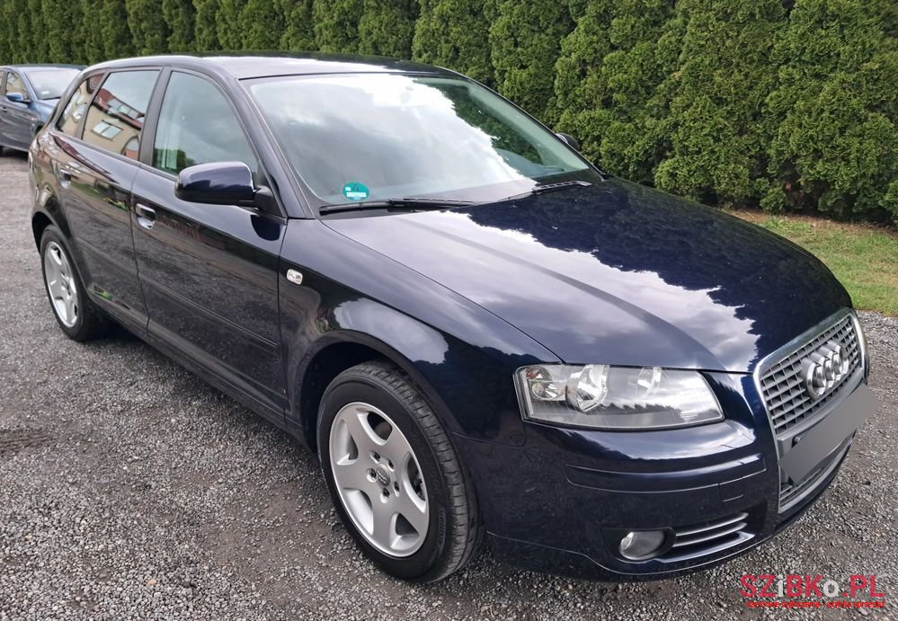 2007' Audi A3 1.6 Sportback photo #2