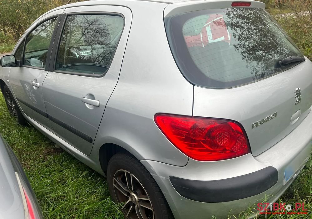 2006' Peugeot 307 photo #4