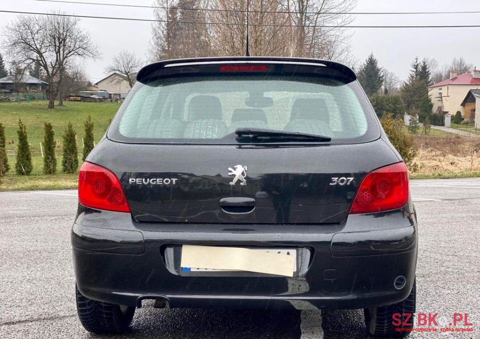 2005' Peugeot 307 Sport photo #5