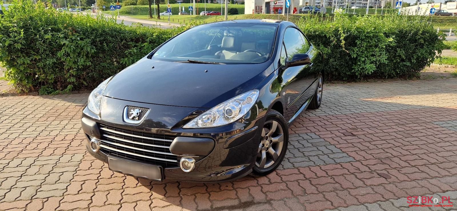 2006' Peugeot 307 photo #2