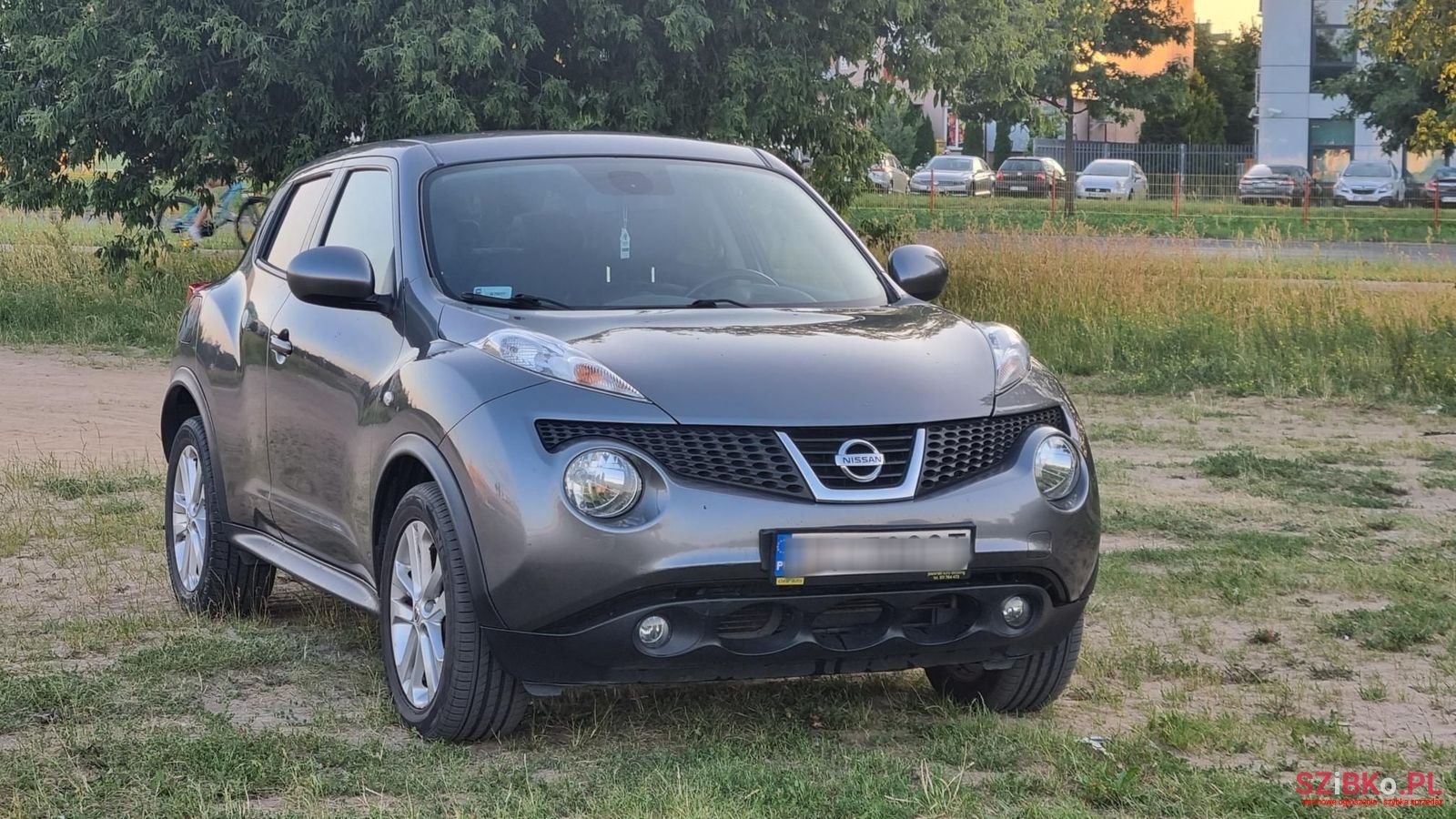 2013' Nissan Juke photo #3