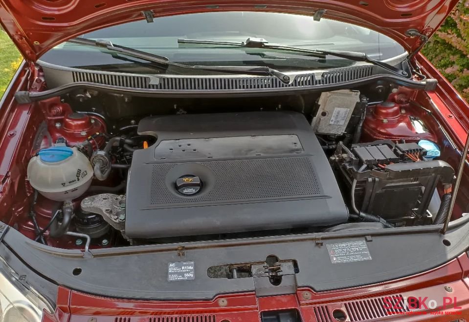 2005' Volkswagen Polo photo #4